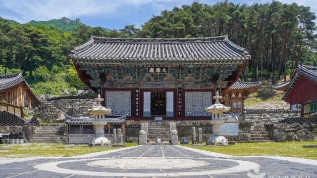 대구 비슬산 유가사 축제, 자연 속 명상 경험