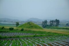 2026년 신촌 단체 여행 완벽 가이드 — 잊지 못할 추억 만들기