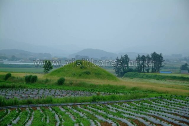 2026년 신촌 단체 여행 완벽 가이드 — 잊지 못할 추억 만들기