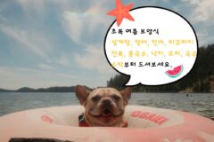 “습하고 더운 날씨 원망 마세요” 2026 초복 스트레스 날릴 최강의 여름 보양식 10
