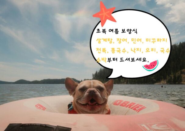 “습하고 더운 날씨 원망 마세요” 2026 초복 스트레스 날릴 최강의 여름 보양식 10