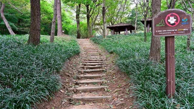 전남 반송공원 숙소, 자연 속 여유로운 휴식 경험