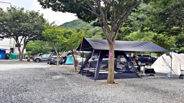 “서울에서 2시간만 가면 이렇게 멋지다니?”… 솔밭캠프 힐링 명소