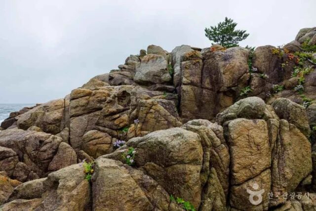 2026년 고성 여행코스 추천: 여름의 낭만을 담은 필수 코스