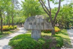 경기 매탄공원 축제, 자연 속 문화체험의 향연