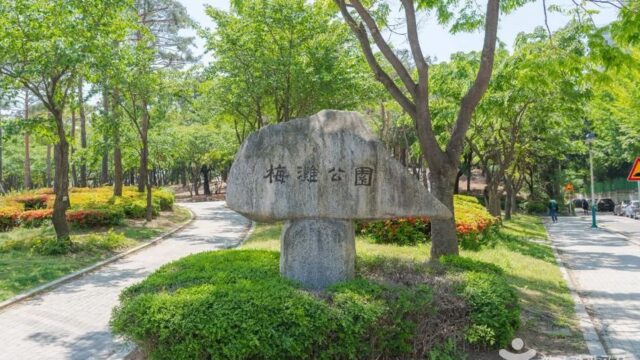 경기 매탄공원 축제, 자연 속 문화체험의 향연