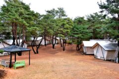 광주 느랭이골 자연휴양림 일반야영장, 여름 캠핑 명소