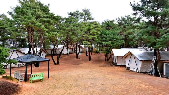 광주 느랭이골 자연휴양림 일반야영장, 여름 캠핑 명소