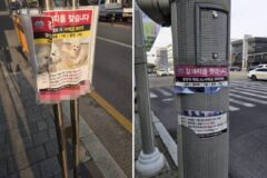 결국 떼어질 반려동물 전단지, 뗄 수 없는 가족의 마음