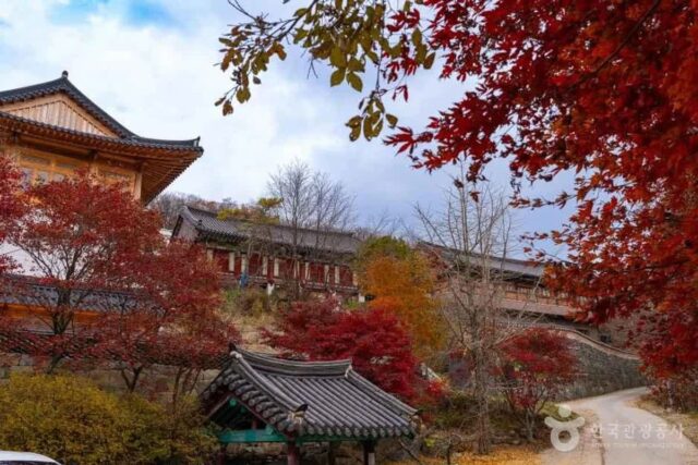 무주군 당일치기: 2026년 여름, 자연과 힐링을 만끽하는 알찬 코스 추천