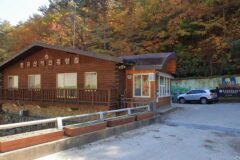 “해발 1,200m에서 이런 풍경을 보라고?”… 33만 평 초록빛 펼쳐진 경북 캠핑 명소
