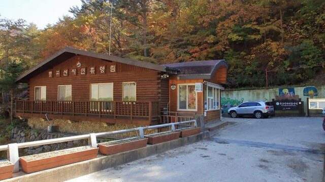 “해발 1,200m에서 이런 풍경을 보라고?”… 33만 평 초록빛 펼쳐진 경북 캠핑 명소