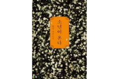 한강 작가의 ＜소년이 온다＞의 해석