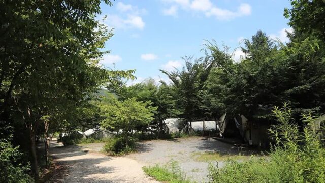 “3,000평 자연 속 무장애 캠핑장이 있다고?”… 누구나 쉽게 접근 가능한 힐링 여행지
