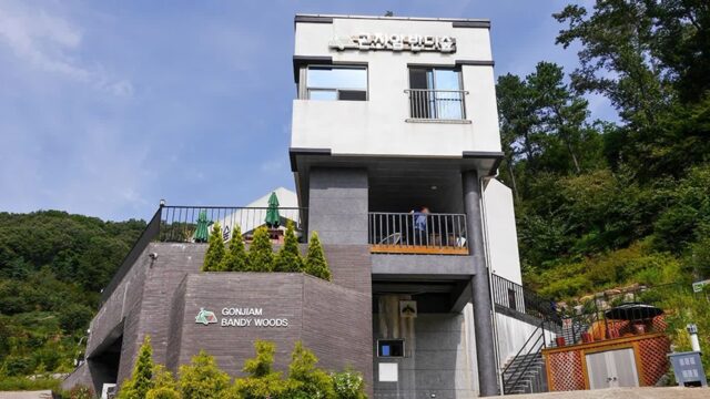광주 곤지암반디숲, 자연 속 반딧불이 체험 명소