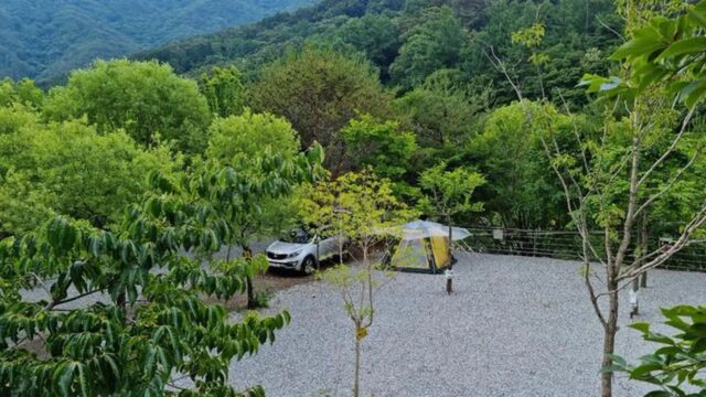 “50,000㎡ 자연 속 캠핑장이 있다고?”… 깨끗한 공기에 푹 빠지는 명소