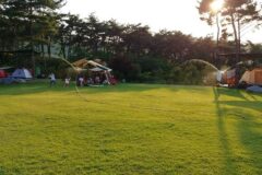 광주 숲속의베리팜 자연 체험, 여름 휴가 추천 명소