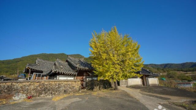 전남 국산서원 축제, 여름 전통과 자연의 만남 체험