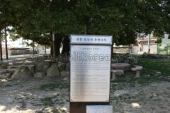 2026 삼산 핫플레이스 최신 가이드 — 여름 휴가 완벽 코스 추천