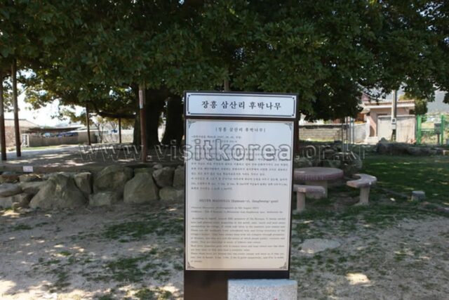 2026 삼산 핫플레이스 최신 가이드 — 여름 휴가 완벽 코스 추천