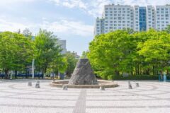 경기 반달공원, 자연과 여유가 공존하는 수원의 명소