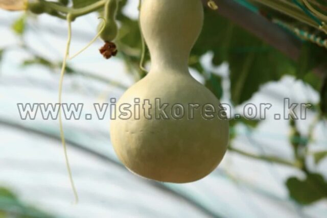 2026년 함평군 여행: 꼭 가봐야 할 5곳 추천 코스