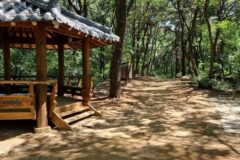 경기 모담공원 체험, 자연 속 여름휴가 추천 명소