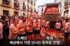 “저기 토마토좀 가져와봐, 던져 버리게” 8월에 열리는 세계 최대 스페인 토마토 축제