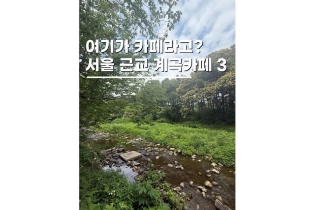 용인 고기리 계곡 뷰 카페 데이트 가볼만한곳 BEST 3
