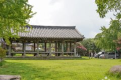 대구 한밤마을돌담길, 여름철 가볼만한 전통과 자연의 조화
