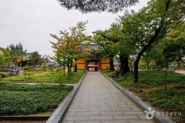 양양 새벽 일출 포인트 추천 5곳 — 2026 최신판