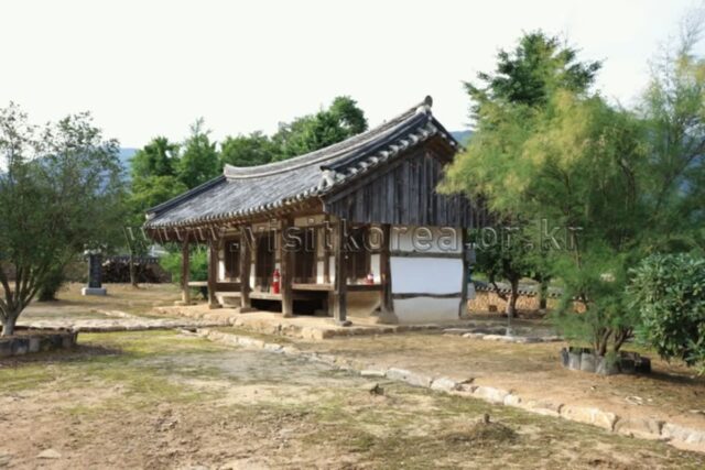장성 데이트 명소 추천 5곳, 여름 여행지 완벽 가이드