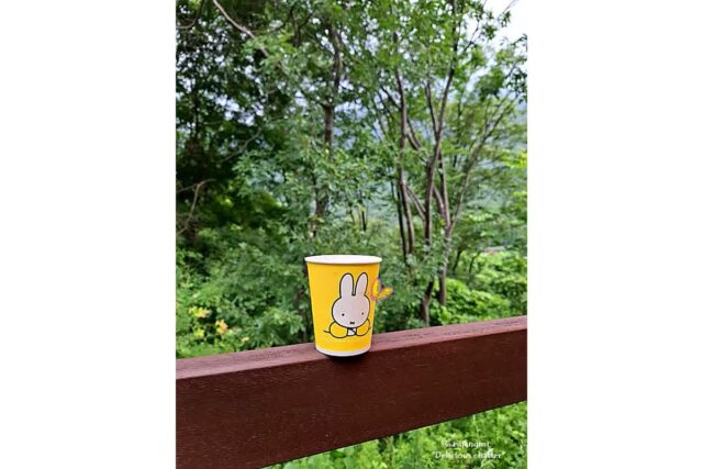 언니랑 1박 2일 힐링 보현산 자연휴양림 19호…