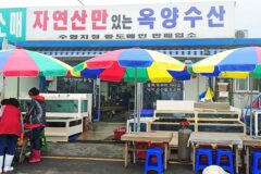충남 태안 옥양수산 맛집, 신선한 해산물의 명소