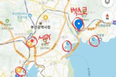 여행 로컬 모두에게 도움되는 부산 핫플 정리