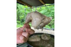 ‘발 담그고 백숙 뜯을 수 있다고?’ 예약 전쟁 시작된 전국 계곡 맛집 5곳