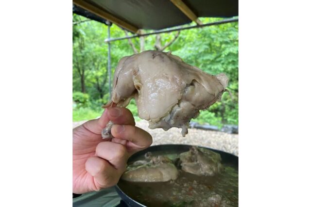 ‘발 담그고 백숙 뜯을 수 있다고?’ 예약 전쟁 시작된 전국 계곡 맛집 5곳