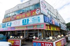 강원 낙산바다회마을 맛집, 신선한 해산물의 진수 체험