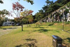 충남 예당관광지 국민여가캠핑장, 반려견과 여름휴가 즐기기