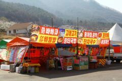 양산 축제 여행 코스 추천 BEST 5 (입장료·주차 정보 포함)