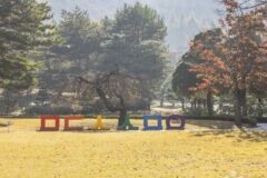 충북 미동산수목원 체험, 여름 자연 즐기기 좋은 곳