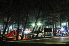 충남 몽산포 자동차 야영장, 해변 캠핑의 매력과 예약 팁