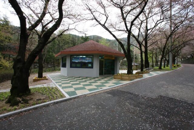 앞산 둘레길 방문을 계획하신다면 반드시 확인해야 할 6곳