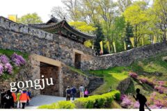 공주 가볼만한 곳｜여름 국내 여행 추천 공산성·공주풀꽃문학관·산성시장 야시장 하루 코스
