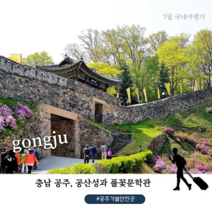 공주 가볼만한 곳｜여름 국내 여행 추천 공산성·공주풀꽃문학관·산성시장 야시장 하루 코스