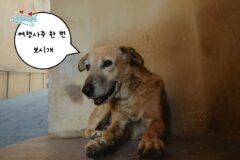 여행만 가면 친구와 싸우는 이유 AI 사주 프롬프트에 물어봤더니