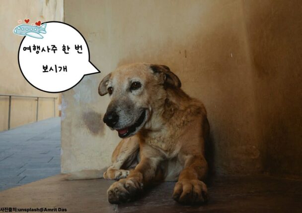 여행만 가면 친구와 싸우는 이유 AI 사주 프롬프트에 물어봤더니
