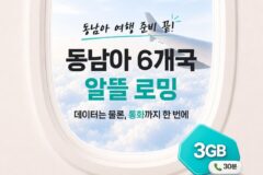 KT, 동남아 로밍 혜택 확대…전국 피서지 통신 품질도 강화