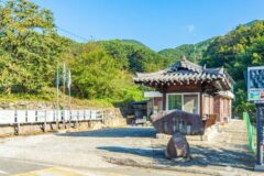 전남 궁항마을 숙소, 자연 속 힐링 가족 여행지