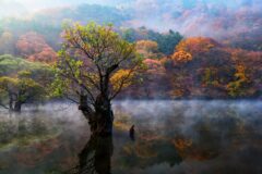 주왕산 숙소 추천 5곳 — 경북 청송 여행 필수 정보